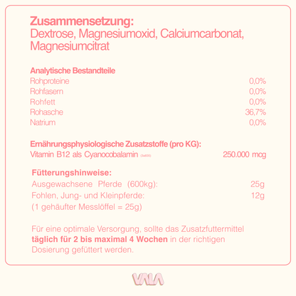 VALA MAGNESIUM + VITAMIN B12 | 1000g