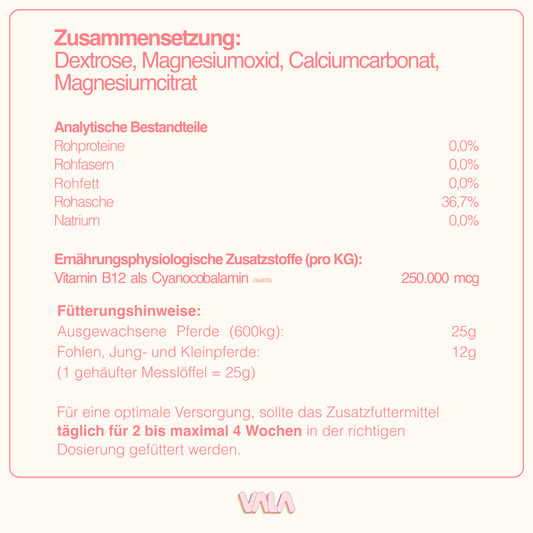 VALA MAGNESIUM + VITAMIN B12 | 1000g